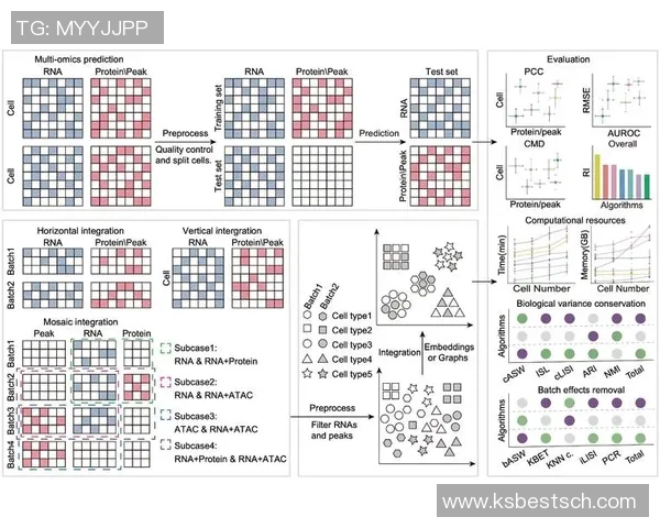 北京羽毛球队在钻石联赛中的心理素质分析与表现评估