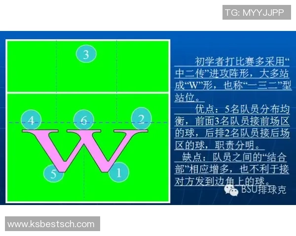 南京排球队中路突破分析与战术调整探讨