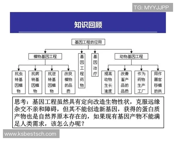 荷兰足球明星的崛起与成就解析:从历史到现状的全面回顾