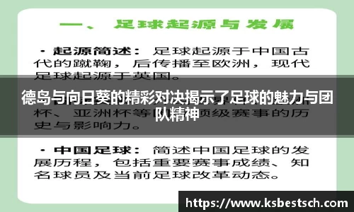 德岛与向日葵的精彩对决揭示了足球的魅力与团队精神