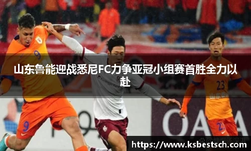 山东鲁能迎战悉尼FC力争亚冠小组赛首胜全力以赴