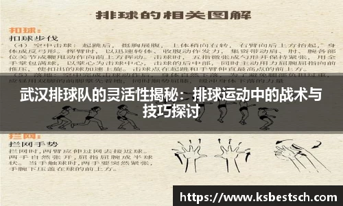 K1体育官方网站