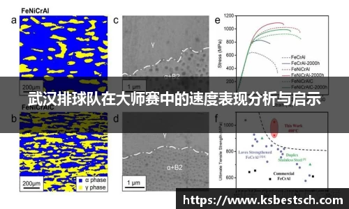 K1体育官方网站